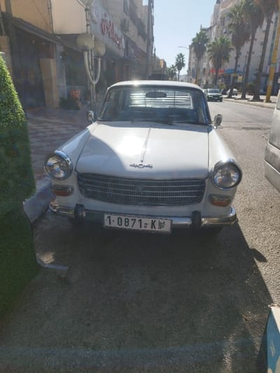 The image presents a frontal view of a white vintage Peugeot 404 sedan parked on an urban street in Dura, Palestinian Territory, under direct sunlight. The vehicle features a prominent chrome grille, circular headlights, and a front license plate displaying "1-0871-K" followed by Arabic script, consistent with Palestinian registration. The car's rear window is equipped with horizontal louvers.
To the left of the vehicle, a green, conical artificial plant is situated on a paved surface. The immediate ground beneath the car is asphalt, transitioning to patterned light-colored tiles near the sidewalk and an adjacent multi-story building. This building on the left side of the street houses a ground-level commercial establishment with red Arabic signage and is illuminated by a street lamp featuring two spherical globes extending from its facade. To the right, an asphalt road stretches into the background, with other vehicles visible in the distance. The right side of the street is characterized by a line of mature palm trees and additional multi-story buildings, one of which exhibits a distinct rounded architectural top. No individuals are visible in the scene. Strong sunlight casts clear shadows on the ground and vehicle.