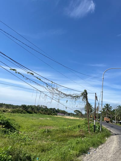 The image shows a rural scene with a bright blue sky and scattered white clouds. Several power lines stretch across the frame, some of which are overgrown with green vines. A rough, gravelly road runs along the right side of the image, with a paved road branching off to the left in the distance. Palm trees and other lush green vegetation are visible on either side of the roads and in the background. A utility pole with various cables and some black material attached stands on the right side of the road, near the power lines. A truck is visible on the paved road in the distance, and a street lamp is present on the right side of the image. The ground in the foreground is covered in dense green grass and some weeds. The scene appears to be located in a tropical or subtropical region, consistent with Bukitrata, Indonesia, which is known for its tropical climate and abundant vegetation. There are no people or animals visible in the image.