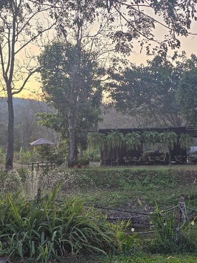 The image depicts an outdoor cafe or restaurant setting in Ban Sahakon 2, Thailand, under the low light of either dawn or dusk, indicated by the pale orange and yellow sky. In the immediate foreground, dense green, sword-like foliage is prominent. To the left, a sprinkler is actively spraying water droplets into the air over this vegetation. A narrow, dark water channel runs horizontally across the mid-foreground, bordered by a rustic fence post and a string of unlit incandescent-style bulbs on the right.

The midground features a large, open-sided wooden pavilion structure, serving as a dining area, with multiple tables and chairs visible inside. Numerous green fern plants hang from the front edge of this structure. To the left of the pavilion, a brown parasol shades an outdoor picnic table with benches. Several tall trees with dark trunks and varying foliage density are interspersed throughout this section, alongside patches of green grass and a few potted plants.

The background reveals a dense line of trees with dark green canopies silhouetted against the bright sky. Faintly visible on the far left horizon are distant mountains or hills, partially obscured by atmospheric haze and intervening foliage. No individuals are present in the scene.
