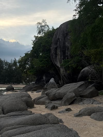 The image depicts a rocky beach scene, likely in Ban Bang Khao, Thailand, as suggested by the context. The foreground is dominated by numerous large, grey, rounded boulders scattered across a sandy beach. The sand appears to be a light beige color, with small white shell fragments visible in some areas. Beyond the boulders, the water's edge is visible, with gentle ripples suggesting calm water. In the mid-ground, a line of dark green trees forms a dense backdrop, with some taller, thinner trees interspersed further back. A massive, dark grey, irregularly shaped boulder is a prominent feature within the tree line, casting a shadow. The sky is overcast with clouds, with a faint glow of sunlight breaking through on the left side, indicating it might be early morning or late afternoon. There are no people or animals visible in the image. The overall atmosphere is serene and natural, emphasizing the geological formations and the coastal environment.