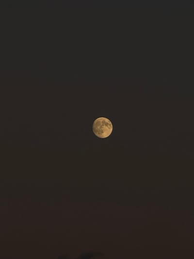 The image displays a full or nearly full moon, exhibiting a prominent yellowish coloration and clearly defined surface craters and topographical features. The moon is positioned centrally against a dark, uniform night sky devoid of stars, clouds, or other celestial bodies. No terrestrial objects, human figures, or artificial lighting are visible. This astronomical scene was captured from the city of Grottammare, Italy.