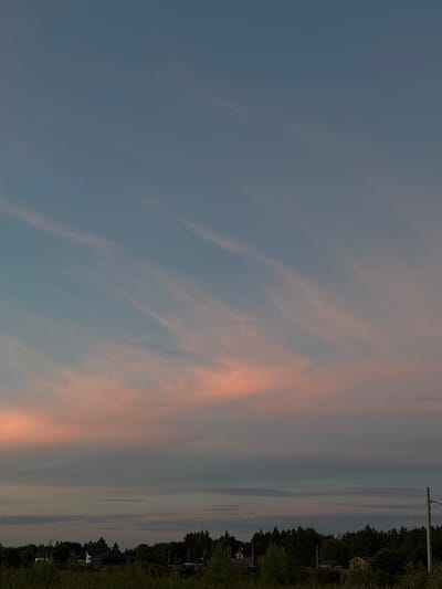 The image depicts a twilight scene over Sapunov Bor, Russia. The sky is a gradient of soft blues and pinks, with wispy clouds stretching horizontally. Below the sky is a dark silhouette of trees and vegetation. Within the treeline, several houses with dark roofs are visible, suggesting a residential area. A tall, slender pole, possibly a utility pole, stands to the right of the frame. The foreground consists of dark green grass and foliage. The overall impression is one of quiet serenity as day transitions to night.