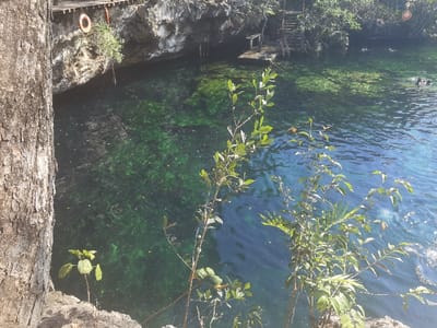 The image shows a cenote, a natural sinkhole filled with water, located in the city of San José, Mexico, at the coordinates 20.492 latitude and -87.258 longitude. The cenote is surrounded by lush vegetation. The water is a clear, turquoise color and appears to be deep. The bottom of the cenote is visible and appears to be covered in algae. There are no people or objects visible in the image. There are no signs of any recent activity.
