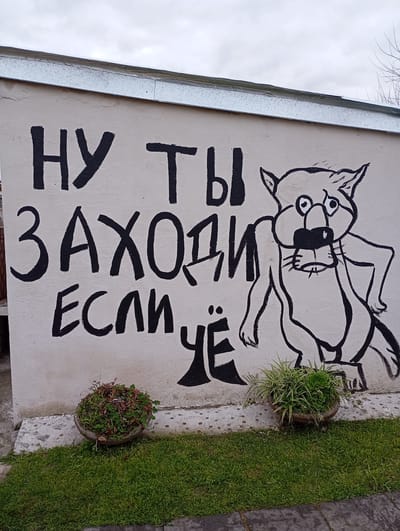 The image depicts graffiti on a light-colored, weathered wall, likely an exterior wall of a building. The graffiti is in black, blocky letters and a cartoonish drawing. The text reads "НУ ТЫ ЗАХОДИ ЕСЛИ УЁ" which translates to "Well, come in if you leave." To the right of the text is a drawing of a cartoonish, anthropomorphic animal, possibly a cat or dog, with large eyes, a snout, and its arms outstretched. The animal has a somewhat worried or questioning expression.

Below the graffiti, there are two planters filled with vegetation. The planter on the left contains low-growing green and reddish plants. The planter on the right holds a cluster of spiky green plants and a succulent. The ground in front of the wall is covered with short green grass, and there is a stone pathway or patio area visible at the bottom of the frame. The sky above is overcast and grey.

The location is identified as Ensenada, Argentina, though no specific landmarks within the city are visible in the image to pinpoint a more exact location. It appears to be an outdoor, possibly semi-rural or suburban, setting. There are no people visible in the image.
