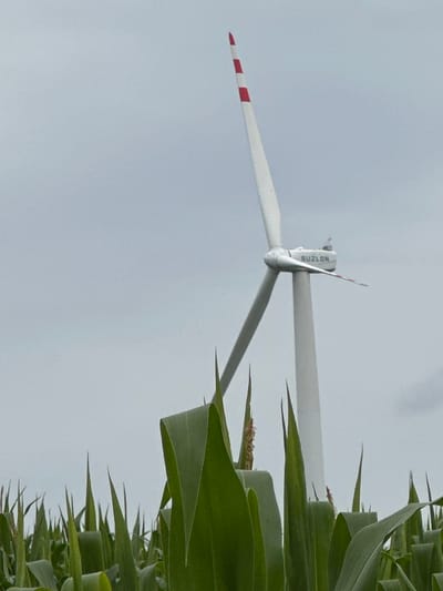 A white wind turbine stands tall in a field of green corn stalks against a pale gray sky. The turbine has a single rotor with three blades, two of which are visible. The blades are white with red stripes near the tips. The nacelle of the turbine is white and has the logo "SUZLON" in blue lettering. A single person, too small to discern details, is visible atop the nacelle. The foreground is filled with the lush green leaves of corn plants, some of which are in focus, while others are blurred. The image appears to be taken in Kolubaivtsi, Ukraine, though this information is not directly visible within the image itself.