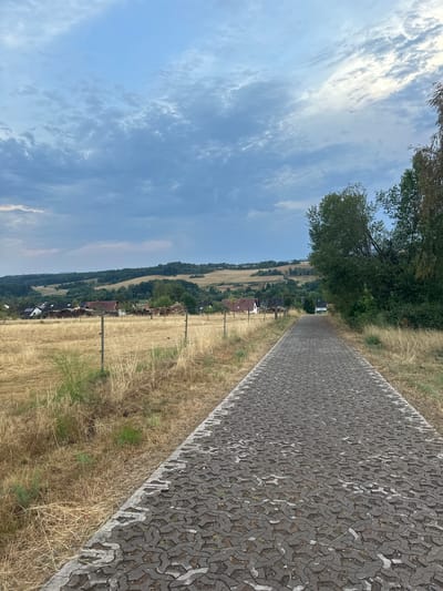 The image depicts a paved pathway in Wadern, Germany, leading through a rural landscape. The pathway is constructed from interlocking grey pavers, with sparse green vegetation growing between them. Dry, yellow grass borders the path on the left, and a dense line of green trees and foliage flanks the right side. In the distance, a cluster of houses with red and white roofs are visible, nestled amongst rolling hills covered in trees and fields. The sky above is a mix of blue and grey clouds, suggesting an overcast or partly cloudy day. A wire fence with wooden posts runs along the edge of the field on the left side of the pathway, separating it from the dry grass.