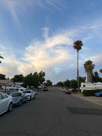 This is a vertical, outdoor photograph taken in Citrus Heights, USA, depicting a residential street scene. The image features two tall palm trees, one significantly taller and thinner than the other, with feathery fronds reaching towards a sky filled with wispy, white clouds against a blue backdrop. A white RV with "EXPEDITION" written on its side is parked to the right of the taller palm tree.

The street is lined with several parked cars, including a red sedan, a white car, a silver car, and a white SUV, all facing away from the viewer. The road itself is asphalt and appears to be in good condition. Green trees and hedges are visible along the side of the street, interspersed with houses. The lighting suggests it is either early morning or late afternoon, with the sun casting soft light and shadows. The sky's colors, with streaks of yellow and orange, further indicate a time near sunrise or sunset. There are no people visible in the image. The overall mood is peaceful and serene.