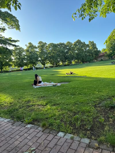 A group of people are relaxing on a sunny day in a park in Esslingen am Neckar, Germany, with a clear blue sky above. In the foreground, two individuals are lying on the grass, one on top of the other, seemingly engaged in a relaxed interaction. Further back on the grassy slope, another person is lying down on a mat, reading a book or looking at their phone. In the background, several other individuals are scattered across the park, some standing and some walking. Tall green trees line the edge of the park, and a brick pathway runs along the bottom of the frame. The overall impression is one of leisure and enjoyment in an outdoor setting.