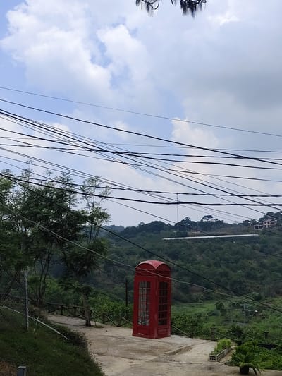 The image depicts a red British-style telephone booth situated on a concrete pathway in Đa Thọ, Vietnam. The booth stands in front of a lush, green hillside covered in trees and vegetation. In the background, structures resembling greenhouses and houses are visible. Overhead, numerous power lines crisscross the sky, creating a complex web against the partly cloudy, light blue sky. A portion of a pine tree is visible at the top of the frame. To the left of the telephone booth, there's a wooden railing and a chain-link fence. To the right, a plant in a black pot and a tray with plants are visible on the concrete.