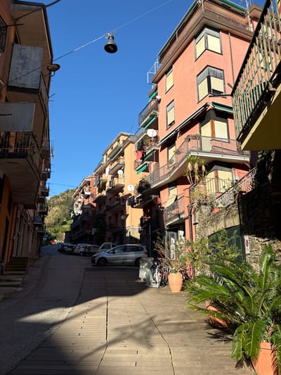 This image depicts a residential street scene in Monterosso al Mare, Italy, under clear blue skies with strong direct sunlight. The perspective is looking uphill along a narrow street flanked by multi-story buildings, predominantly painted in shades of terracotta, orange, and light brown.
On the right side of the street, the most prominent building is a multi-story structure with a salmon-pink facade. It features multiple balconies with dark metal railings, some curved, and several windows equipped with external, light-colored roll-down shutters, most of which are partially or fully closed. A green awning is visible above a lower balcony. Several satellite dishes are affixed to the building's facade. At the base of this building, a stone retaining wall with various potted plants and shrubs runs alongside the sidewalk.
On the left side, buildings also rise several stories, displaying balconies with simpler metal railings, some appearing weathered. Utility wires are strung between these structures, with a single, dark bell-shaped streetlamp suspended by wires high above the street near the center of the frame.
The street itself begins in the foreground with a wide, light-colored walkway composed of parallel slats or planks, showing cracks and strong, elongated shadows cast by buildings and objects to the right. This walkway transitions into an asphalt road further up the hill.
Several vehicles are parked along the street. In the mid-ground, a silver SUV or station wagon is parked on the right side, facing uphill, with other cars and scooters visible further beyond. In the right foreground, a cluster of bicycles, some covered in clear plastic sheeting, are parked near a large terracotta pot containing a prominent palm-like plant. Other potted plants are visible along the sidewalk and balconies.
The distant background reveals a steep, tree-covered hillside, indicating the mountainous or hilly terrain surrounding the town. No people are visible in the scene.