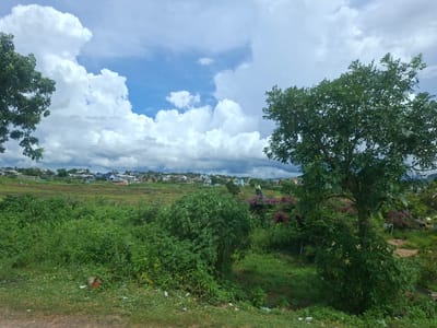 The image depicts a view of a rural landscape in Đăng Srõn, Vietnam, under a cloudy sky. In the foreground, a dirt path is visible on the left, with a patch of green grass and some scattered debris including a coconut shell. Further into the scene, a dense area of green foliage dominates the middle ground, with several trees and bushes. To the right, a large tree stands prominently, its leaves casting shadows. Beyond the vegetation, a town or village is visible on a gentle slope, with various houses and buildings. Terraced fields can be observed behind the village. The sky is filled with large, white cumulonimbus clouds against a blue sky, suggesting a potentially overcast or rain-prone day. No people or animals are clearly identifiable in the scene.