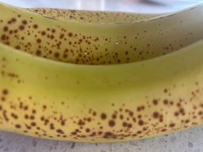 The image displays a close-up view of two ripe bananas with brown spots. The bananas are positioned parallel to each other, with the lower banana slightly in front of the upper one. The surface beneath the bananas appears to be a speckled white countertop. There are no people or visible signs of human activity. The lighting suggests an indoor environment, possibly a kitchen. The image does not contain any identifiable landmarks or features that would allow for determination of its specific location within Richmond Hill, Canada.