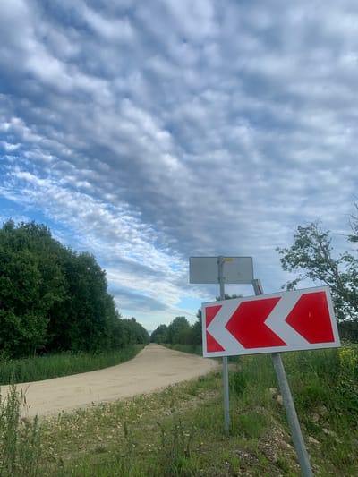 The image depicts a rural road curving to the left, lined by dense green trees on the left and tall grass and scattered yellow wildflowers on the right. The road surface appears to be light-colored gravel or dirt. In the foreground on the right, a directional sign with red and white chevrons indicates a sharp left turn. Above the sign, another blank rectangular sign is visible on a metal post. The sky is filled with a dramatic formation of white and gray clouds against a pale blue background. The environment is natural and appears to be an unpaved road in a rural or semi-rural area. There are no people or vehicles visible in the image. This scene does not appear to be located in the city of Chernovo, Russia; rather, it is an outdoor rural landscape.