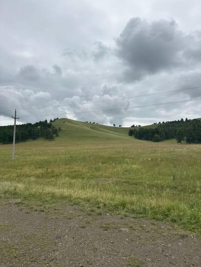 The image depicts a wide, undulating grassy hill under a cloudy sky in the village of Kuzhanovo, Russia. In the foreground, a gravelly dirt path leads the eye towards the expansive green landscape. A wooden utility pole stands tall on the left side of the frame, with wires stretching horizontally across the upper portion of the image. The hill is dotted with scattered trees, and a denser line of trees runs along the ridge in the distance. The overall scene is one of a natural, rural setting, possibly on a slightly overcast day.