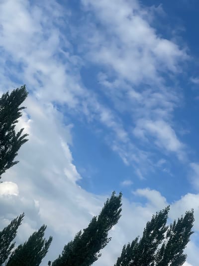 The image depicts a clear blue sky with scattered white clouds. Tall, dark green trees with pointed tops are visible in the foreground on the left and bottom edges of the frame, extending upwards into the sky. The trees are silhouetted against the bright sky and appear to be in motion, possibly swaying in the wind. The overall scene suggests an outdoor environment, likely a park or natural area within the city of Кызыл-Тоо, Kyrgyzstan. There are no people or animals visible in the image. The lighting indicates it is daytime, with the sun casting a bright light on the clouds.