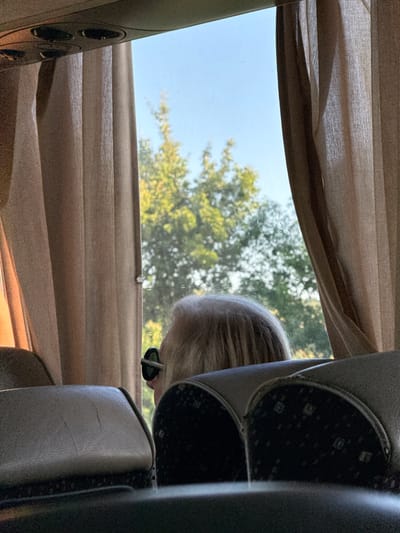 The image shows the interior of a bus, seen from the perspective of a passenger. In the foreground, parts of two seats are visible, one in tan leather and the other with a dark, patterned fabric. In the middle ground, a person with blonde hair and sunglasses is looking out the window. The person's head and shoulders are visible. Through the window, trees and a blue sky are visible. The window is partially obscured by beige curtains. The image appears to have been taken during the daytime. The location is not specified in the image itself.