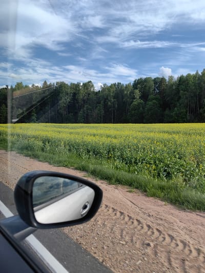 The image captures a view from inside a vehicle, looking outwards towards a rural landscape. The foreground shows the side mirror of the car, reflecting a cloudy sky. To the left of the mirror, part of the car's interior is visible, including a dark-colored door panel and a white line on the road. The road itself appears to be made of gravel or dirt, with visible tire tracks. Beyond the road, a vast field of yellow flowers, possibly rapeseed or canola, stretches towards a dense line of green trees. The sky above is a mix of blue and white clouds. The scene is set during daylight hours. While the specific location is stated as Хаценчыцкі сельскі Савет, Belarus, this information is not visually discernible from the image itself. There are no people or animals visible in the frame.