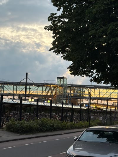 The image depicts a view of the train station in Boxtel, Netherlands. In the foreground, the hood and windshield of a silver car are visible, parked on a road with a white dashed line. Beyond the road is a sidewalk, followed by a dense cluster of bicycles parked under a covered structure. In the background, a modern pedestrian overpass with glass walls and illuminated by warm yellow lights spans across the scene. The overpass is supported by metal structures, and a glass elevator shaft is visible on the right side. Above the overpass, a large tree with dark green leaves partially obscures the cloudy sky, which is illuminated by a soft sunset glow. The overall scene captures a late afternoon or early evening atmosphere at a Dutch train station.