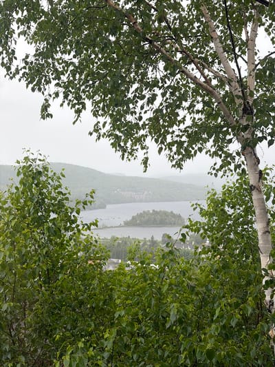 This media file depicts a hazy view of a lake and forested hills, likely during the daytime. The scene is framed by the branches and leaves of birch trees, with their characteristic white bark visible in the foreground. The leaves are a vibrant green, suggesting it is summer or late spring. The weather appears overcast and possibly rainy, as the distant landscape is softened by a mist or fog. There are a few buildings visible along the shoreline, hinting at a populated area or resort. The overall mood is serene and natural, with the focus on the interplay of foliage and the subdued landscape beyond. No people, objects, or text are clearly discernible. The location context suggests this view is from Mont-Tremblant, Canada, known for its natural beauty and lake resorts.