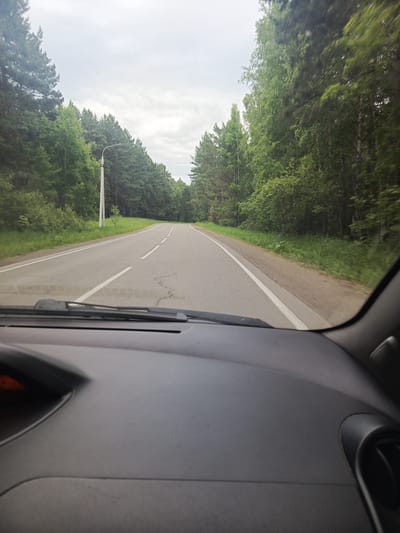 This image, taken from the interior of a vehicle, shows a view of a paved road winding through a forest. The road has white lane markings. The sky is overcast. The trees on either side of the road are dense and appear to be a mix of pine and deciduous species. A lamppost is visible on the left side of the road. The dashboard of the car is visible in the foreground. Based on visual cues such as the vegetation and road type, this scene is likely located in the vicinity of Meget, Russia, a settlement known for its surrounding forested areas.