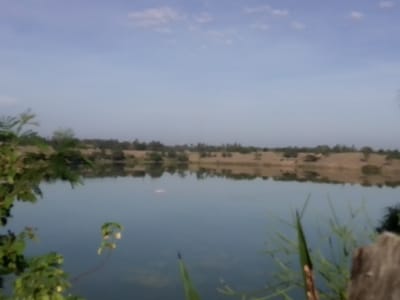 This image depicts a serene natural landscape, likely located in Central Kasipul ward, Kenya. The scene is dominated by a wide, tranquil body of water, possibly a lake or large pond, stretching across the midground. The water's surface is calm, creating a clear reflection of the sky and the distant shoreline. A small, light-colored object floats subtly on the water towards the left of the frame.
In the immediate foreground, vibrant green foliage partially frames the view from the left, while sparser green plants and a rustic, brown object (possibly a wooden post or rock) are visible on the right, suggesting the vantage point is from a vegetated bank.
The background features an undulating landscape with a distinct shoreline of what appears to be dry, light-colored earth or sand. This terrain is dotted with scattered trees and shrubs, which are also mirrored in the reflective water. Above the horizon, the sky is a clear, pale blue with only a few faint, wispy white clouds.
The image conveys a sense of peace and natural beauty. The lighting suggests it is daytime, possibly morning or late afternoon, given the soft, clear illumination and cloudless sky. There is no visible human activity or discernible text in the photograph.