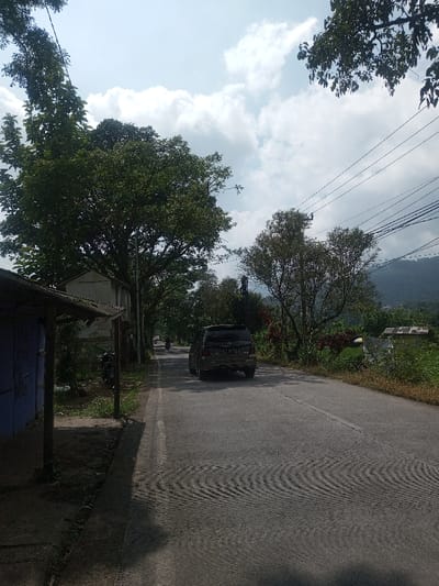 The image displays a daytime scene on a paved road in Cibodas, Indonesia. The asphalt road extends centrally into the distance, flanked by abundant green trees and foliage. A faded white line delineates the left shoulder of the road, while the foreground road surface exhibits a distinct rippled texture, likely from light and shadow. A dark-colored SUV, license plate B 1734 PJC, is positioned in the right lane in the mid-ground, viewed from the rear, appearing stationary or moving slowly away from the camera. Further down the road, a motorcycle is discernible. On the left side of the foreground, a weathered blue wooden shed with a dark corrugated roof stands adjacent to the road, partially obscuring a small white building behind it. The right side of the road features dense vegetation, including some plants with reddish leaves, and a small, light-colored hut in the mid-distance. Multiple dark power lines are strung across the upper right portion of the frame, supported by utility poles partially hidden by trees. The sky above is partly cloudy, featuring prominent white cumulus clouds against a lighter blue background, with distant green mountains visible on the horizon.