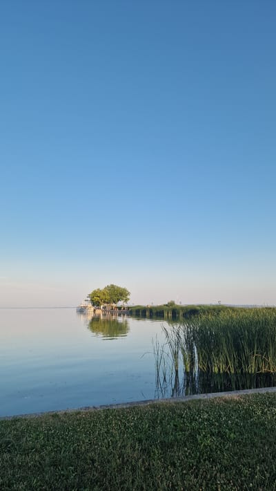 The image captures a serene scene at Lake Balaton in Keszthely, Hungary, likely during the early morning or late afternoon due to the soft lighting. The sky is a clear, vibrant blue, with a very faint hint of a lighter hue near the horizon. The placid surface of the lake acts as a near-perfect mirror, reflecting the sky and the distant features.
Dominating the mid-ground is a small island or a structure built on piles, densely covered with lush green trees. Two white boats are moored to the left of this island. The island and boats are surrounded by a network of structures, possibly piers or buildings, with visible awnings and railings.
Along the right side of the lake, a thick band of tall, green reeds or cattails grows, their reflections creating a textured pattern on the water's surface. The foreground consists of a strip of manicured green grass, separated from the water by a low, grey concrete edge. The overall impression is one of tranquility and natural beauty, with the man-made elements of the boats and structures integrated into the lakeside environment.