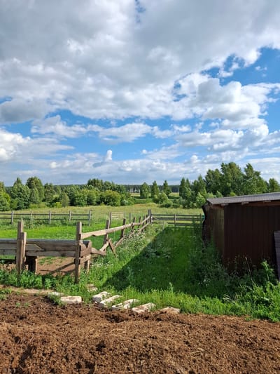 The image depicts an outdoor scene on a sunny day with a bright blue sky filled with fluffy white clouds. The perspective is a vertical shot, so the scene appears rotated 90 degrees. In the foreground, to the right, is a pile of dark brown soil or compost, bordered by a line of light-colored stones. To the left of the soil pile is a patch of lush green grass dotted with small white wildflowers.
A rustic wooden fence, constructed from rough-hewn logs and planks, runs diagonally across the midground, separating the grassy area from a larger field. Beyond the fence, a green field stretches towards a line of trees in the distance. The trees form a dense, dark green backdrop against the sky.
At the very top right of the image, the edge of a dark brown wooden structure, possibly a shed or barn, is visible. The overall impression is of a rural setting, perhaps a farm or garden, in a peaceful and natural environment. The lighting suggests it is daytime, likely mid-morning or afternoon, with clear and pleasant weather. No people are visible in the image, nor is there any visible text.