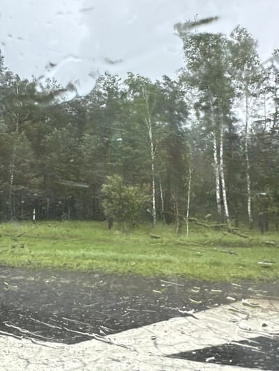 The image shows a view of a treeline with green grass in the foreground, seen through a wet window. The trees are a mix of evergreens and deciduous trees, some of which appear to be birch with white bark. There are fallen branches on the ground in the grassy area. In the lower part of the image, a dark, wet surface is visible, possibly a road or pavement, with lighter-colored markings. The sky is overcast. The scene appears to be in a rural or semi-rural setting. The specific location of Гацукоўскі сельскі Савет, Belarus, is noted, suggesting the image was taken from a vehicle or building in that area.