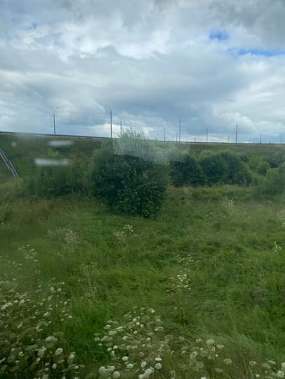 The image depicts a grassy embankment with scattered white wildflowers and green bushes. In the background, a road with streetlights is visible against a cloudy sky. There is a subtle reflection on the left side of the image, suggesting it was taken through a window. The location, Почтовик Снт, Russia, indicates a rural or suburban setting on the outskirts of a city.
