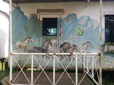 A weathered building features a mural of running horses against a mountain backdrop. The artwork includes an apple logo with handwritten text. A white, rusty railing runs along the front of a wooden porch. A small, square window is visible on the building's facade, reflecting light and nearby foliage. The structure appears to be elevated on posts, with green vegetation underneath. The overall scene suggests a rural or rustic setting.