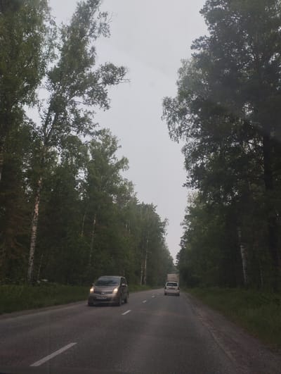The image shows a two-lane asphalt road through a forest. On the right side of the road, tall pine trees and birch trees line the route. On the left, a dense forest of mixed trees, including birch and pine, is visible. Two vehicles are traveling on the road. In the foreground, a silver hatchback car, possibly a Nissan Note, is driving on the right lane. Its headlights are on. Further ahead, in the left lane, a white hatchback car with a large cargo box on its roof is visible. The sky is overcast, indicating a cloudy day. The scene appears to be set in or near Sosnovka, Russia, given the mention of the location.