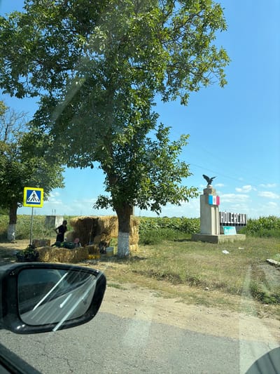 An exterior, eye-level, medium shot captures a roadside scene in Marcăuți, Moldova, on a sunny day. In the foreground, the left side of a black car's side mirror is visible, reflecting the sky and a large tree. Beyond the car, a pedestrian crossing sign with a yellow diamond and a blue square featuring a white pedestrian silhouette stands beside a tree with whitewashed bark. Behind the sign, a person in a black shirt stands near a haystack, and a child in a pink hat is seated on another haystack. Several large watermelons and some yellow fruits are displayed on the hay.
Further into the background, a monument with a sculpture of an eagle at the top is situated. The monument is adorned with the Moldovan flag. To its right, large white letters spell out "HOLERCANI". Beyond the monument, a field of sunflowers and a cornfield stretch towards the horizon under a clear blue sky with scattered white clouds. The ground is covered with grass and dirt.