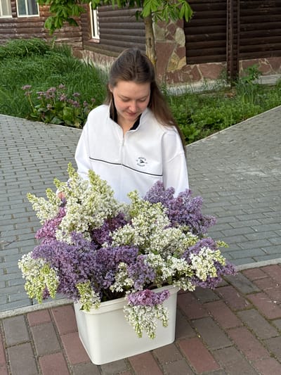 A woman is standing outdoors next to a paved area, holding a large white container filled with white and purple flowers, possibly lilacs. The paved area consists of gray bricks on one side and reddish-brown bricks on the other. In the background, there is a building with a wooden facade and green plants. The location appears to be Ленино, Russia.