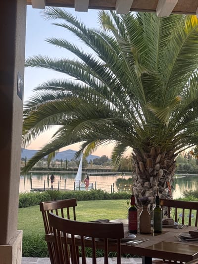 A table set for dining is adorned with bottles of wine, with chairs ready for guests. A palm tree with broad, green fronds dominates the foreground, partially obscuring a scenic view of a lake. The serene body of water reflects the soft hues of the sky, while a small pier juts out, supporting two figures, one in pink and another in dark clothing. Distant mountains are visible on the horizon.