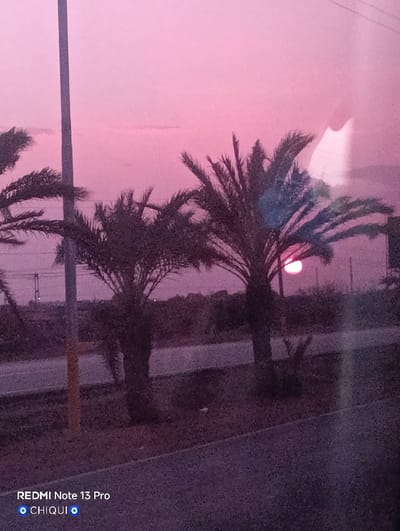 This image depicts an outdoor scene in La Cruz del Pastel, Venezuela, at either dawn or dusk, characterized by a pervasive reddish-pink sky. Three palm trees are prominently silhouetted in the mid-ground: one partially visible on the far left, and two others further right. A slender, dark vertical pole stands on the left side of the frame. A circular, luminous red-orange orb, identified as a celestial body (sun or moon), is partially visible behind the fronds of the rightmost palm tree. A dark, paved road extends horizontally across the lower portion of the scene, bordered by a strip of dark ground, possibly vegetation. The distant background is indistinct, appearing as a dark landmass. No individuals or specific actions are discernible. The image exhibits characteristics consistent with being captured through a transparent barrier, such as a window, including subtle reflections and a slight diffused quality. A digital watermark displaying "REDMI Note 13 Pro" and "CHIQUI" is present in the lower-left corner.