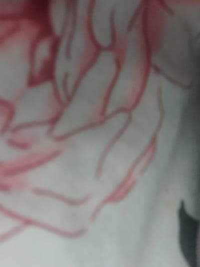 The image is a close-up, out-of-focus shot of a floral pattern, likely on fabric or wallpaper. The dominant colors are pink and white, with some grey or black elements visible on the right side. The pink shapes suggest petals or leaves, rendered in a soft, blurred style. There is no visible indication of the city of Liubakhy, Ukraine, or any specific environmental features. The image is abstract due to its blurriness, making it impossible to identify specific objects or actions.