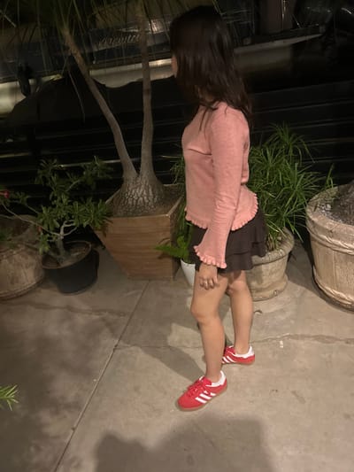A person with long, dark hair wearing a pink, long-sleeved ruffled top and a dark brown skirt stands on a concrete surface. Red sneakers with white stripes adorn their feet. The person is positioned next to a variety of potted plants, including a spiky-trunked plant and leafy greens. The background features dark metal gates and structures.
