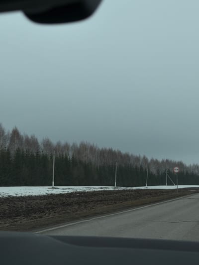 A landscape photograph, apparently taken from within a vehicle, shows a road running alongside a forest. A traffic sign depicting a red circle with a white horizontal line, likely indicating a prohibition, is visible near the edge of the forest. Patches of snow are visible near the road. The sky is overcast. The location may be near the city of Иж-Бобья, Russia.