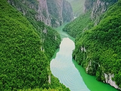 The image shows an aerial view of a wide, winding river flowing through a lush green canyon. Steep, tree-covered slopes rise on either side of the river. The water is a vibrant green, and the dense foliage creates a rich, textured landscape. There are no visible signs of human presence, structures, or activity in this natural scene. The location is not in Olișcani, Moldova, as there is no visual evidence to support this claim.