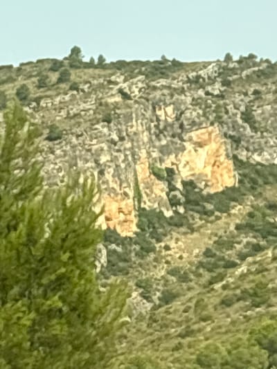 A photograph captures a sunlit hillside dotted with trees and rocky outcrops. The scene is dominated by natural elements, with the rough texture of the terrain and the verdant foliage creating a sense of rugged beauty. The light suggests it is daytime, possibly late morning or early afternoon, casting shadows and highlighting the contours of the landscape. The image appears to be taken from a slightly elevated position, looking towards the hillside. The environment is consistent with the semi-arid Mediterranean climate found in regions like Moixent/Mogente, Spain, characterized by rocky terrain and sparse vegetation. There are no people or specific man-made structures visible, emphasizing the wild and natural aspect of the location.