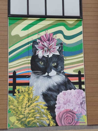 This is a photograph of a mural located on the side of a building. The mural features a black and white cat wearing a crown of pink and white flowers. The cat has green eyes and is looking directly at the viewer. Behind the cat is a background of colorful, wavy stripes in shades of green, yellow, blue, and pink. In the lower portion of the mural, there is a black fence, a yellow bush, and two large flowers, one pink and one rose-colored. Text at the bottom right of the mural reads "@OUT THERE MURALS BY LANNEWNAM". The building's exterior is clad in horizontal wooden planks, and a window with a dark frame is visible at the top of the mural. The mural is located in Lexington, Kentucky, United States of America.