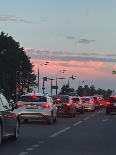 This is a low-angle, vertical shot of a traffic jam on a city street at dusk, with the sky displaying vibrant pink and orange hues from the setting sun. The foreground features the rear of a dark-colored vehicle, partially obscuring the view. To its right, a white SUV is prominent, its brake lights illuminated, with a license plate starting with "X 165 MX 799". Further down the road, multiple other vehicles are lined up, their brake lights creating a pattern of red reflections on the asphalt. On the left side of the frame, dark silhouettes of trees stand tall against the colorful sky. Traffic lights and street lamps are visible, indicating an urban environment. A pedestrian crossing sign is mounted on a pole near the traffic light. The overall scene depicts a typical rush hour traffic situation in Красная Пахра, Russia, as day transitions into night.