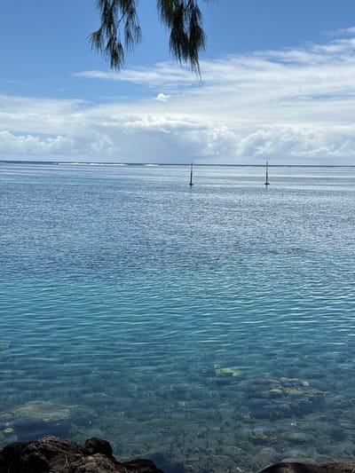 The image presents a serene coastal landscape in Māhina, France, featuring clear ocean water under a partly cloudy sky. The immediate foreground reveals dark, rugged rock formations partially submerged along the bottom edge. Overhead, dark green, elongated foliage hangs from an unseen branch, obscuring a portion of the upper sky. The water exhibits a distinct color gradient, appearing turquoise and highly transparent in the foreground, allowing visibility of the rocky and coral seabed. Further out, the water transitions to a deeper blue. The surface of the water is gently rippled. Two dark, slender, vertical poles are positioned upright in the mid-distance water, serving as markers or mooring posts. Along the distant horizon, a subtle line of white breaking waves indicates a reef or shallow area. The sky above is bright blue, dotted with scattered white cumulus clouds, some appearing denser than others. No individuals, vessels, or explicit activities are depicted.