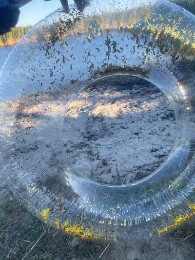 A clear inflatable pool ring with gold glitter is lying on a sandy surface with dry grass. The pool ring is partially obscuring the ground beneath it, which appears to be a mixture of sand and dried vegetation, possibly from a beach or a grassy area. The glitter within the ring is scattered unevenly, with some areas having a higher concentration than others. The sunlight catches the glitter, making it sparkle. In the background, there are hints of green foliage and a bright sky, suggesting it is daytime. The overall scene evokes a sense of leisure and outdoor activity. There is no visible text in the image.