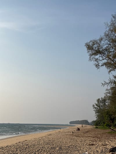 This image shows a beach scene in Khok Kloi, Thailand. The scene is captured with the camera oriented vertically. The top of the frame contains treetops. A vast expanse of clear sky fills the majority of the left half of the image. On the right, the beach extends along the coastline, merging with the sea. There are some people visible at the beach.