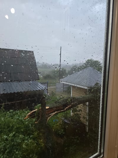 This is a photograph taken from indoors, looking out through a window with water droplets on it, at an outdoor scene in Малая Уса, Russia. The weather appears to be overcast and rainy. In the foreground, a large tree trunk has fallen, its branches scattered across dense green foliage. Behind the fallen tree, there are two buildings. The building on the left has a dark, corrugated metal roof and appears to be a smaller structure. To the right, a yellow building with a grey, angled roof is visible. A utility pole stands in the background, and the overall environment suggests a rural or semi-rural setting. No people are present in the image.