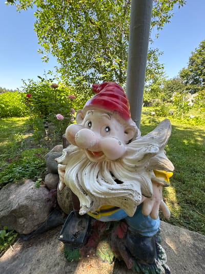 A garden gnome statue is the central subject in this outdoor scene, which appears to be a garden or yard. The gnome has a weathered appearance, with chipped paint revealing its material underneath. It is adorned with a red pointed hat, a white beard, and a blue tunic. The gnome is lying on its side, propped up by rocks and what looks like gardening tools, including a spade. The background shows a lush green lawn, trees with vibrant foliage, and the clear blue sky on a sunny day. Some pink roses are visible in the middle ground, adding a touch of color to the scene. The sunlight suggests it is daytime, likely morning or afternoon, given the shadows and the brightness of the sky. The overall impression is a peaceful, sunny day in a well-maintained garden, with the slightly disheveled gnome adding a touch of whimsical character to the setting. There is no visible text in the image.