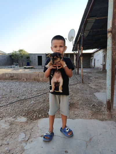 A young boy, approximately 7 years old, stands in an outdoor courtyard in Sarahs, Turkmenistan, holding a small puppy. The boy has short, dark hair and is wearing a black t-shirt and light gray shorts. The puppy, mostly brown with some black markings, is held in the boy's arms, facing forward. In the background, there are low-lying buildings constructed of grey cinder blocks, some with corrugated metal roofs. A satellite dish is visible on one of the structures. The ground is covered with small stones and patches of concrete. The overall scene suggests a rural or semi-urban environment.
