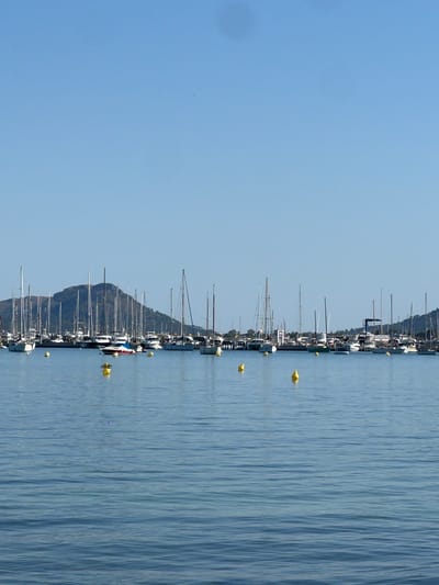 The image depicts a serene waterfront scene in Port de Pollença, Spain. The foreground is dominated by the calm, blue waters of the Mediterranean Sea, with several yellow buoys scattered across its surface. In the middle ground, a marina is filled with numerous sailboats and yachts, their masts reaching towards the clear, bright blue sky. Some of the boats are moored, while others appear to be sailing. The boats are of various sizes and designs, with many featuring white hulls and tall, slender masts. A prominent hill with lush green vegetation rises in the background, providing a picturesque backdrop to the harbor. The overall atmosphere is peaceful and idyllic, characteristic of a Mediterranean coastal town.
